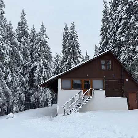 Domek alpejski - Tyrolehause *